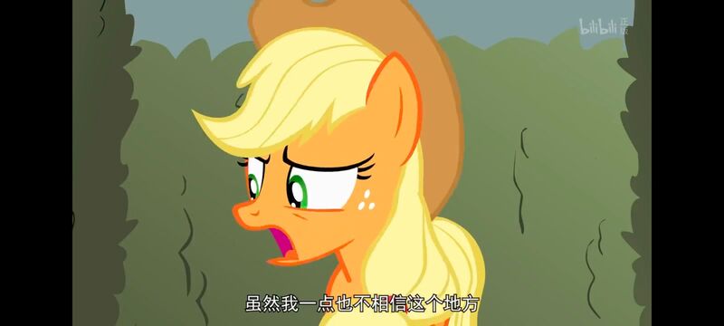 小马宝莉,小马宝莉友谊魔法,彩虹小马,我的小马驹,动画,动漫,番剧,ACG