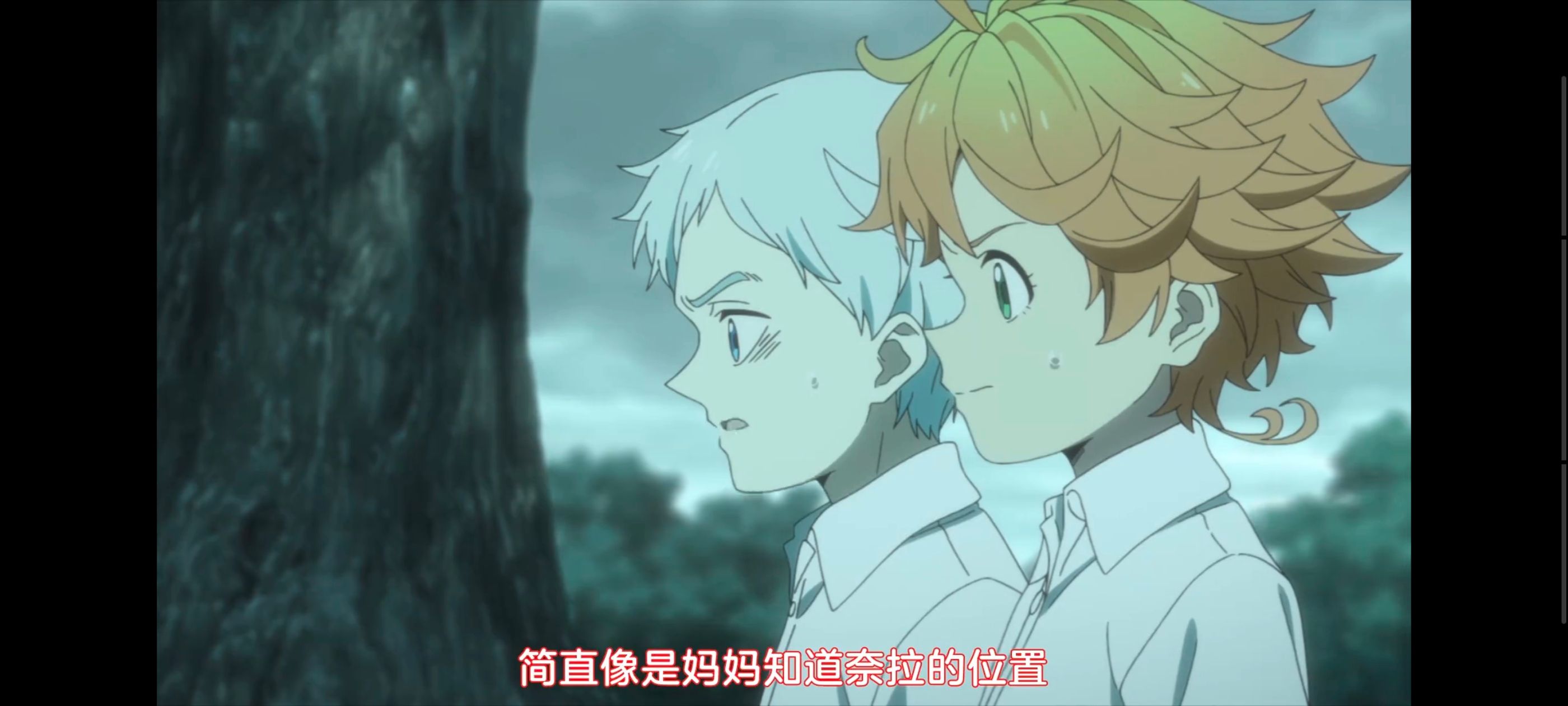 约定的梦幻岛,动画,动漫,番剧,ACG