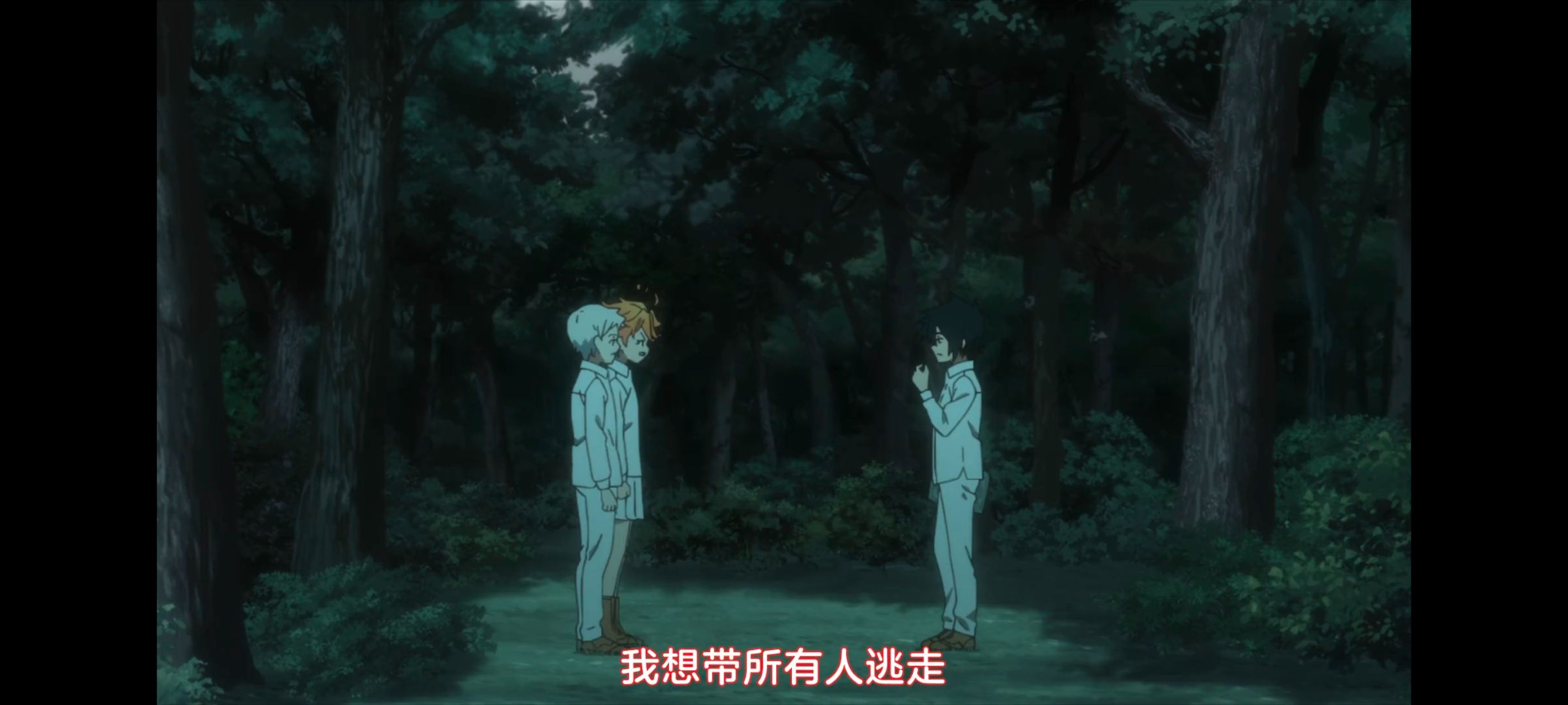 约定的梦幻岛,动画,动漫,番剧,ACG