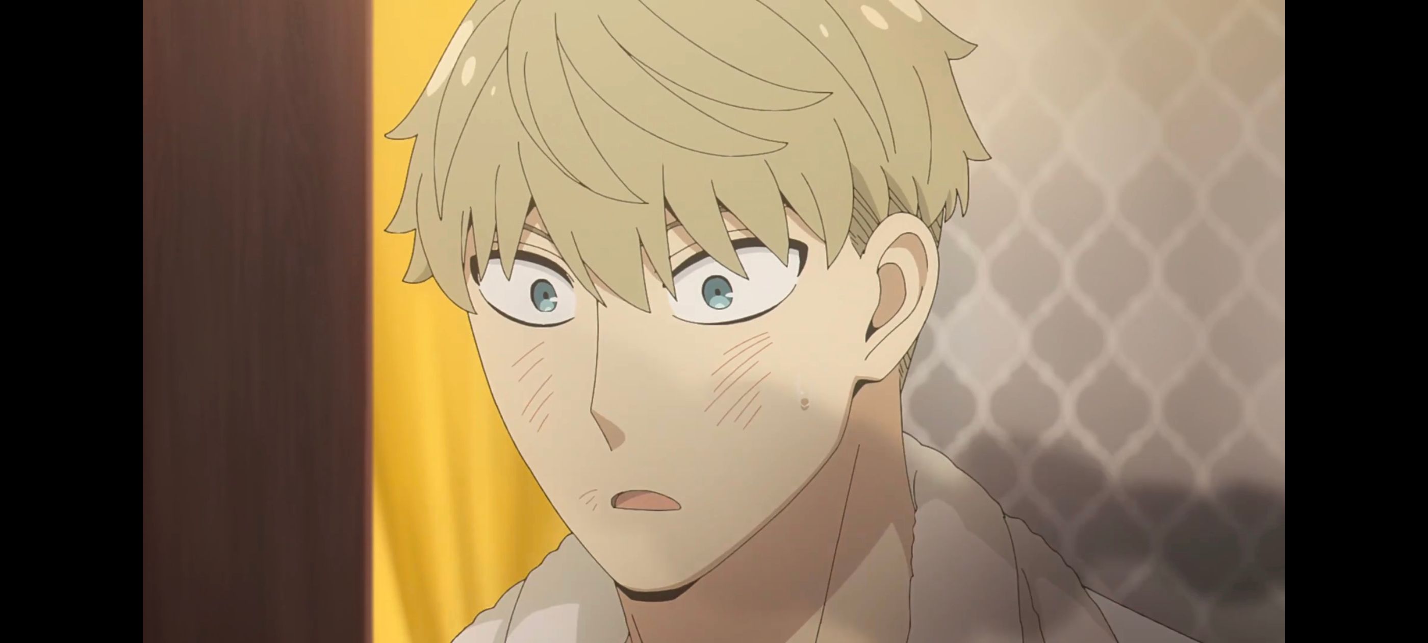 间谍过家家,SPYFAMILY,动画,动漫,番剧,ACG