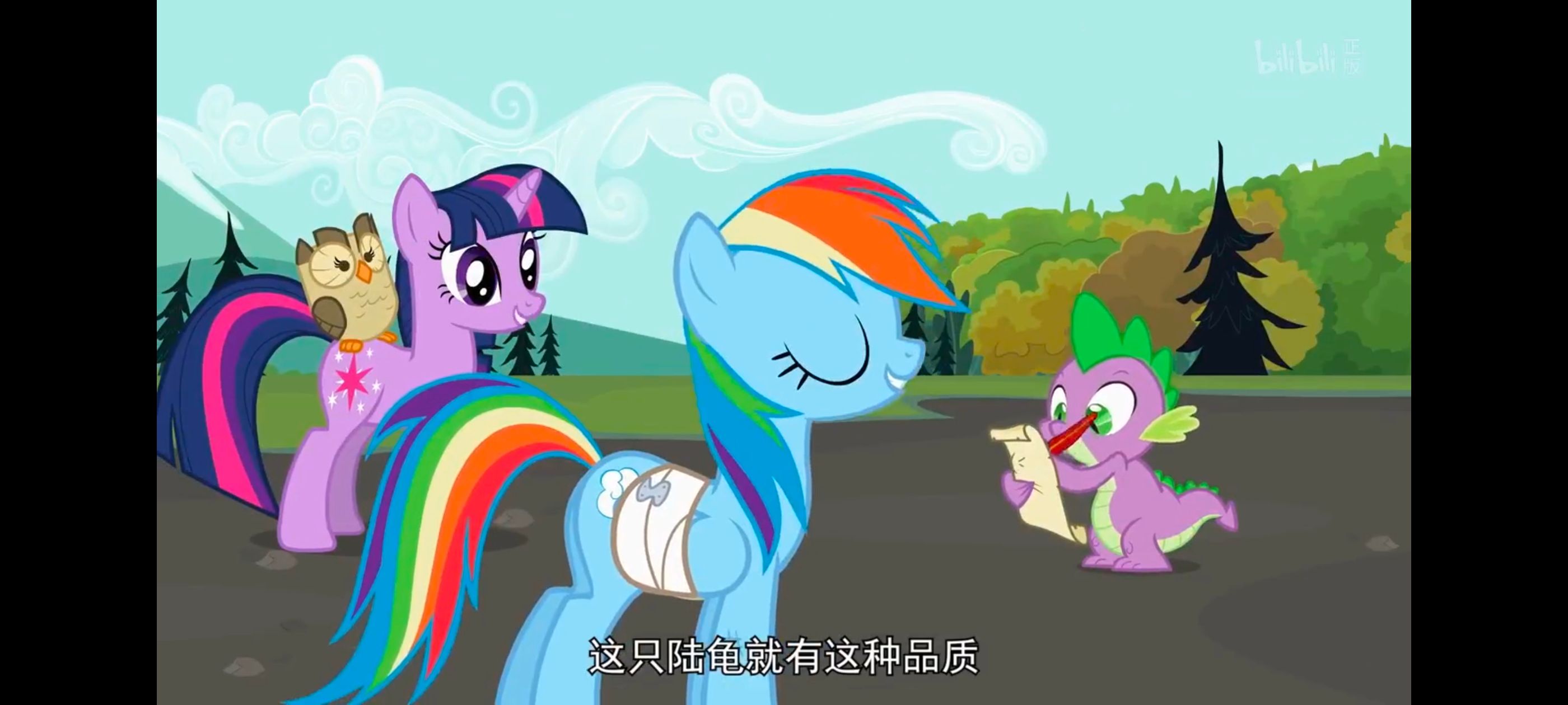 小马宝莉,彩虹小马,我的小马驹,动画,动漫,番剧,二次元,ACG