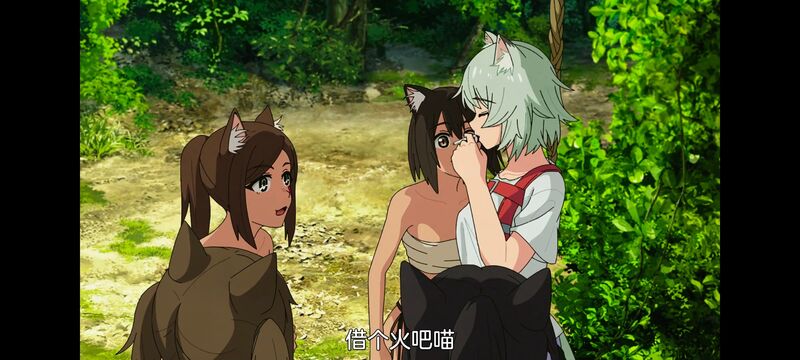 尼古喵喵,雅尼猫,动画,动漫,番剧,日漫,二次元,ACG