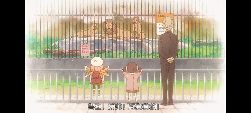 间谍过家家,SPYFAMILY,动画,动漫,番剧,ACG