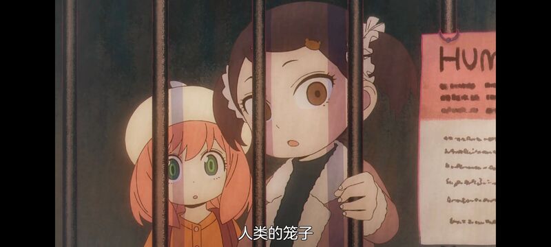 间谍过家家,SPYFAMILY,动画,动漫,番剧,ACG