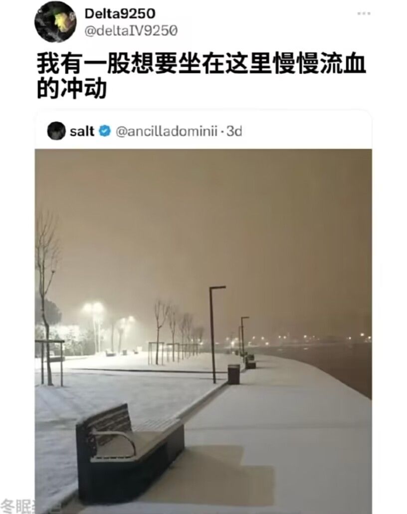 弔图,meme,迷因,涩图