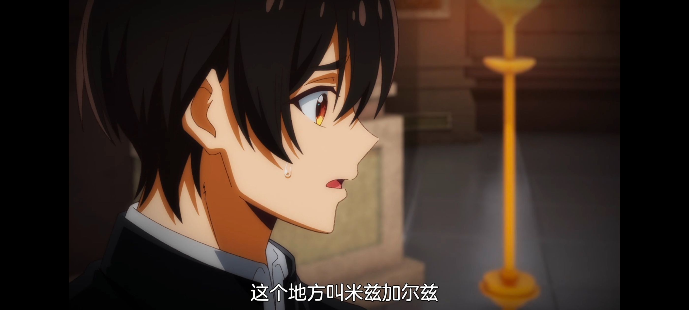 野生的最终BOSS出现了,野生的大魔王出现了,动画,动漫,番剧,ACG