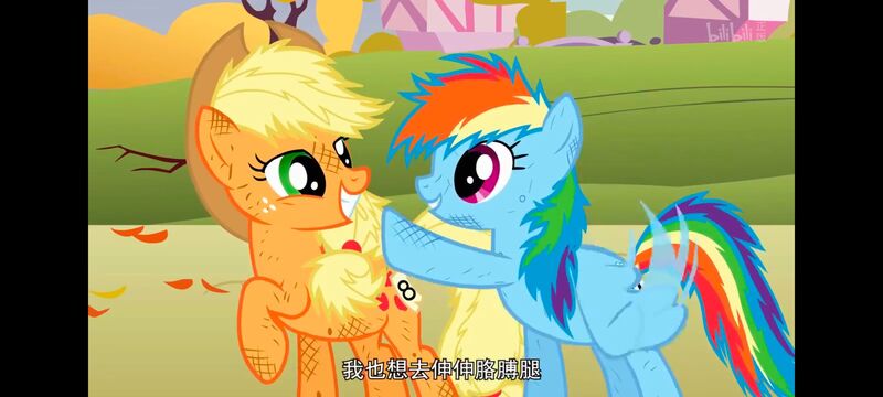 小马宝莉,小马宝莉友谊魔法,彩虹小马,我的小马驹,动画,动漫,番剧,ACG