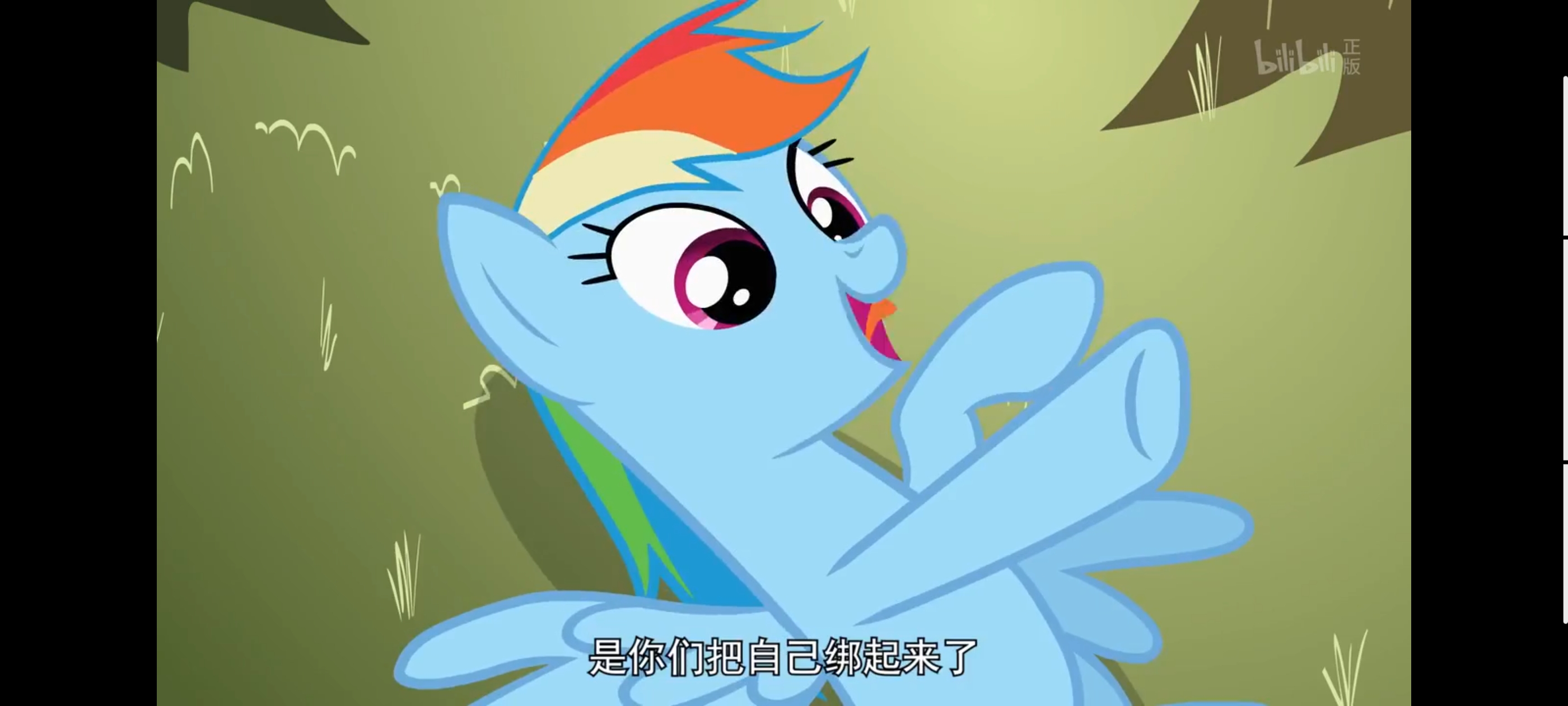 小马宝莉,彩虹小马,我的小马驹,动画,动漫,番剧,二次元,ACG