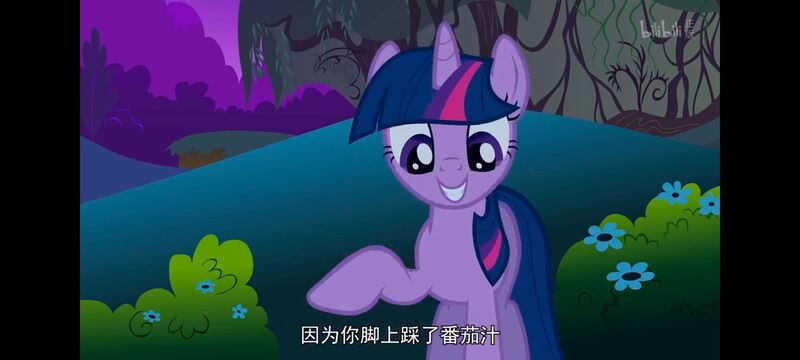 小马宝莉,彩虹小马,我的小马驹,动画,动漫,番剧,ACG,小马宝莉友谊魔法