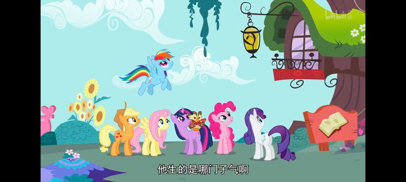 小马宝莉,彩虹小马,我的小马驹,动画,动漫,番剧,ACG,小马宝莉友谊魔法