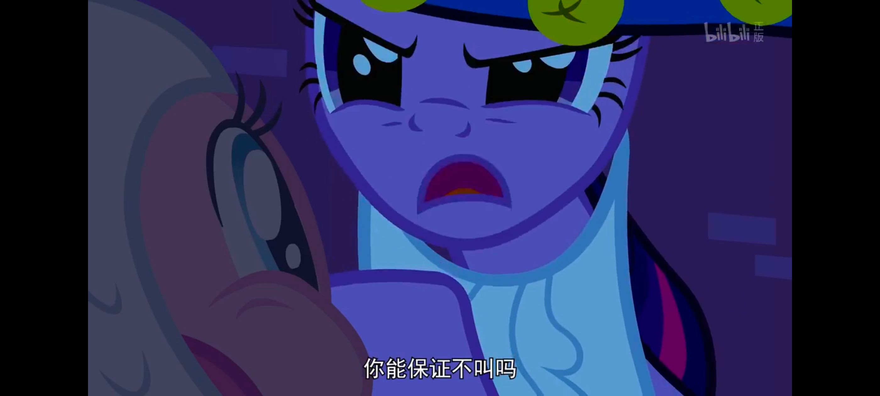 小马宝莉,小马宝莉友谊魔法,彩虹小马,我的小马驹,动漫,动画,番剧,ACG