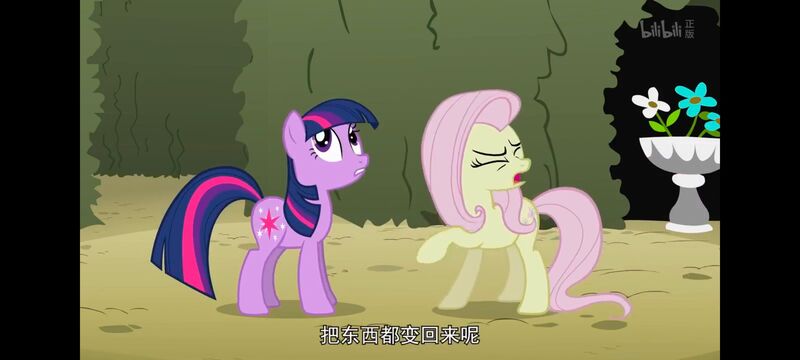 小马宝莉,小马宝莉友谊魔法,彩虹小马,我的小马驹,动画,动漫,番剧,ACG