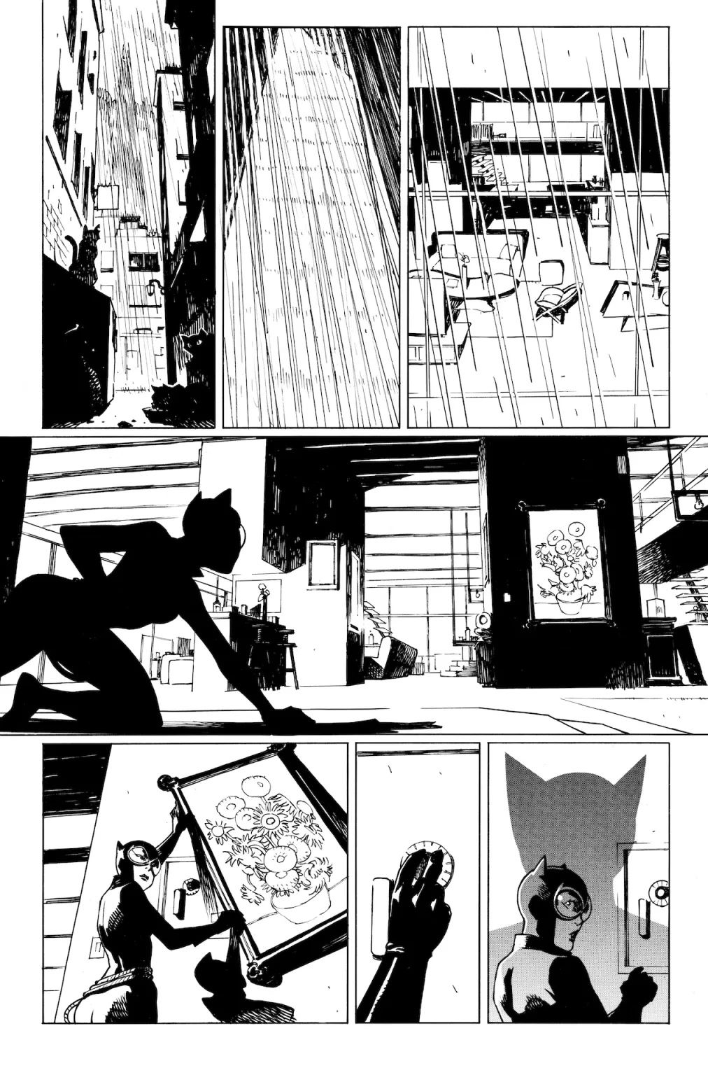 DC,DC漫画,美漫,漫画,动漫,猫女,绝对宇宙,绝对猫女,绘画,ACG