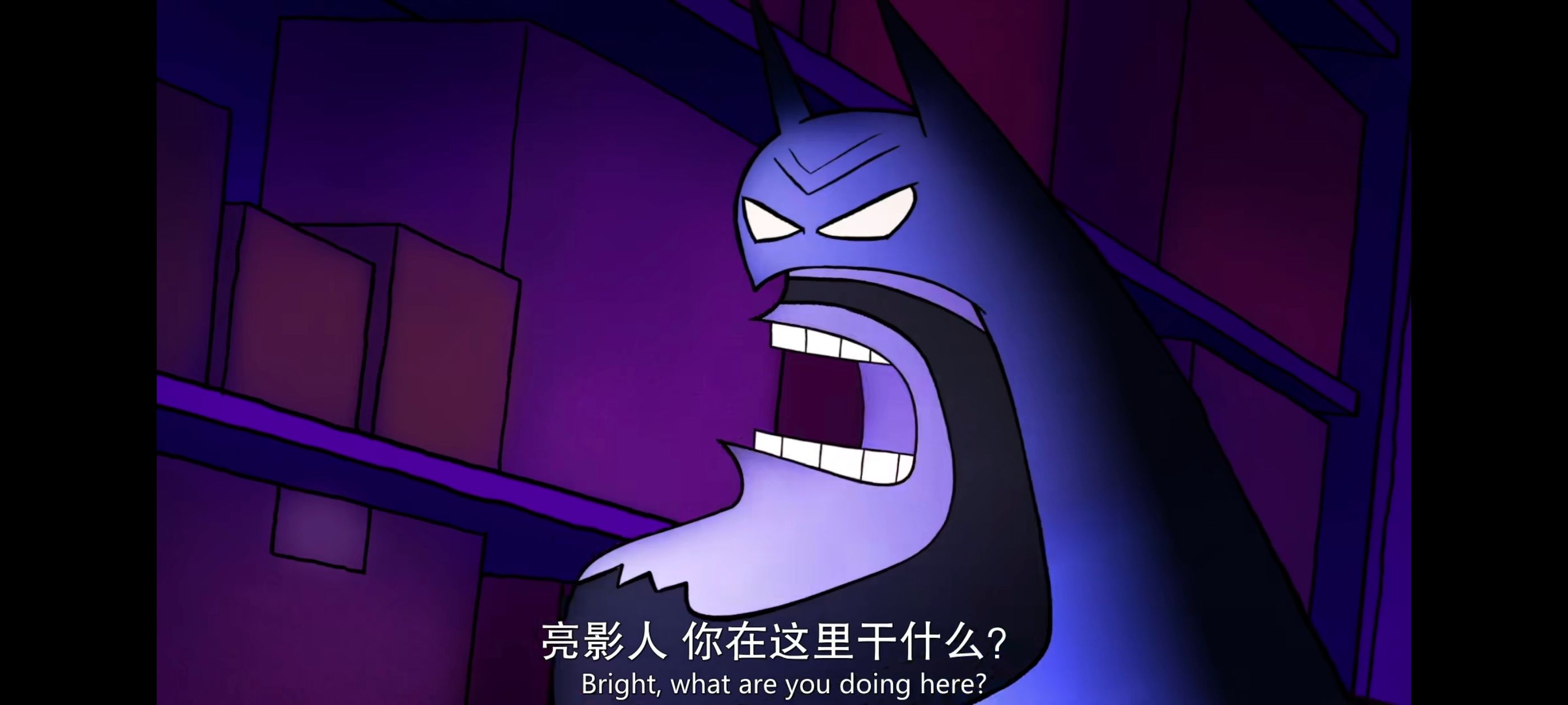 蝙蝠侠家族,蝙蝠侠一家,DC,动漫,动画,番剧,ACG