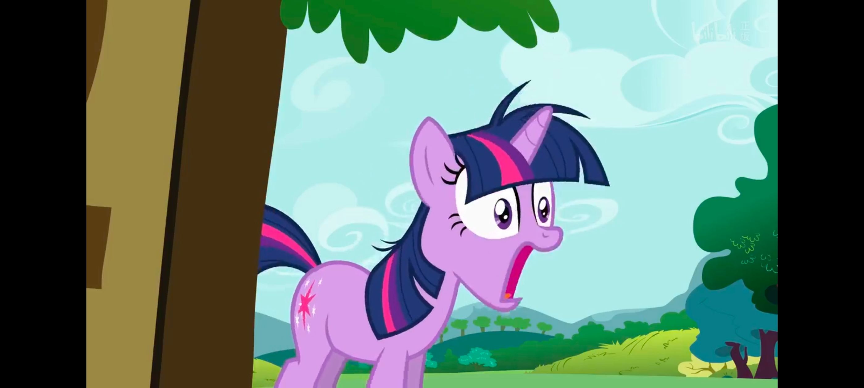 小马宝莉,小马宝莉友谊魔法,彩虹小马,我的小马驹,动画,动漫,番剧,ACG