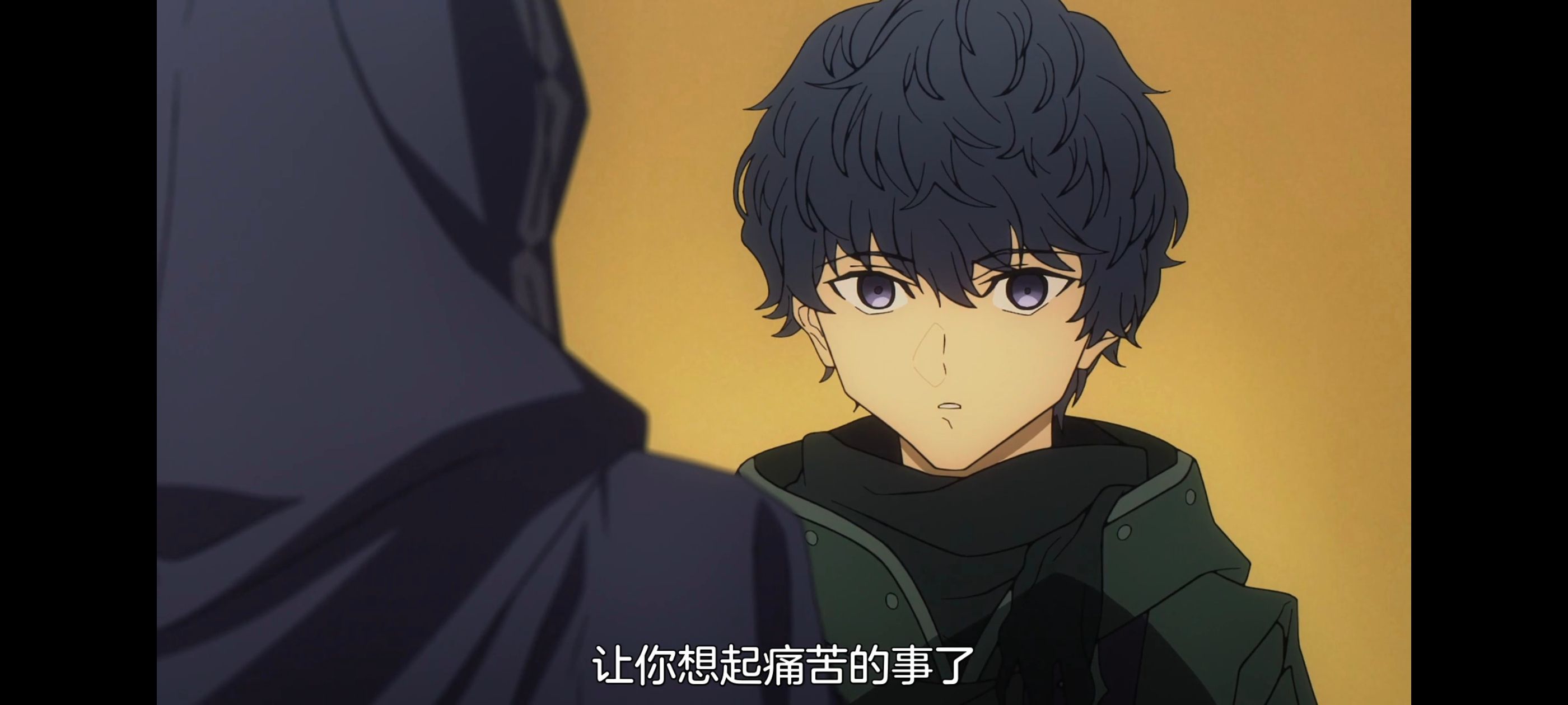 命运奇异赝品,FatestrangeFake,FATE,动画,动漫,番剧,二次元,ACG