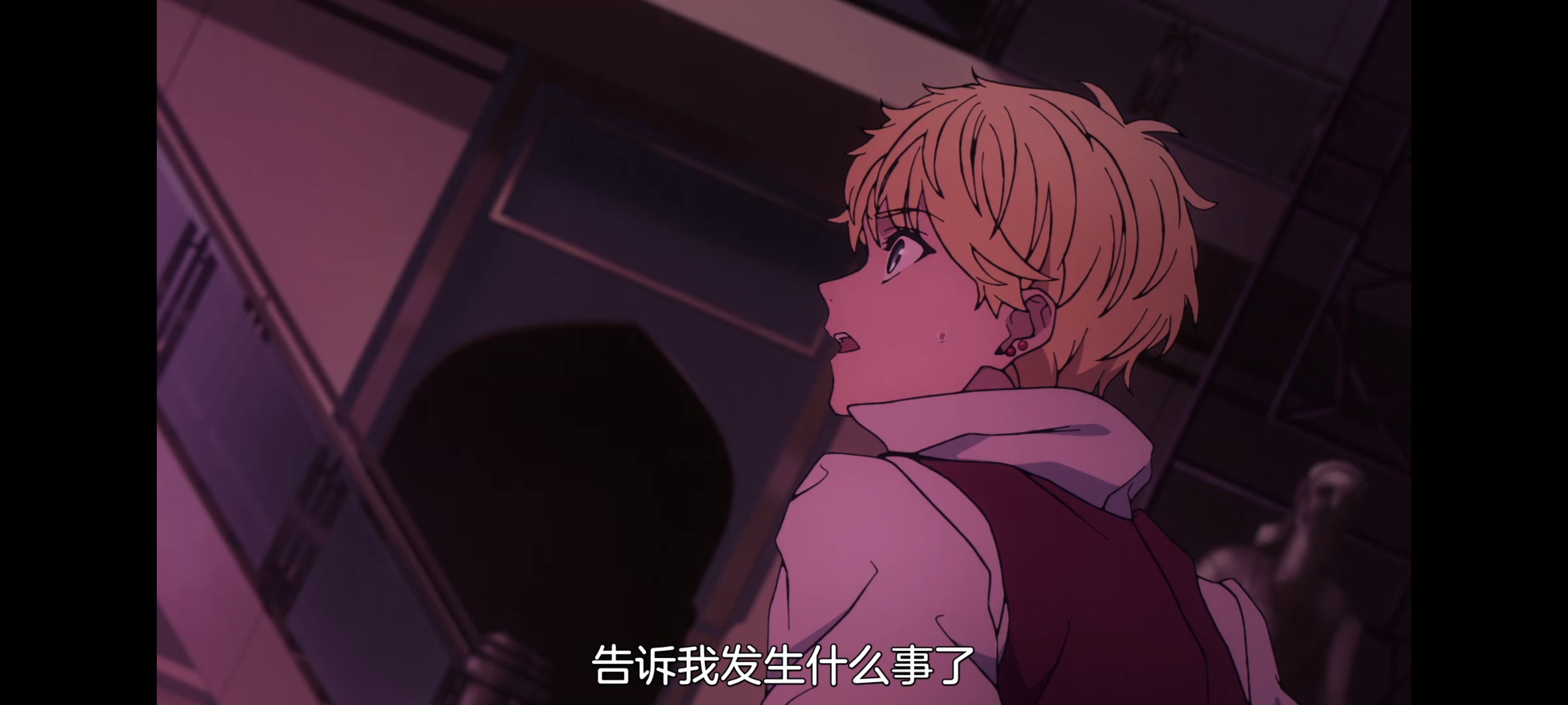 命运奇异赝品,FATE,FatestrangeFake,动漫,动画,番剧,ACG