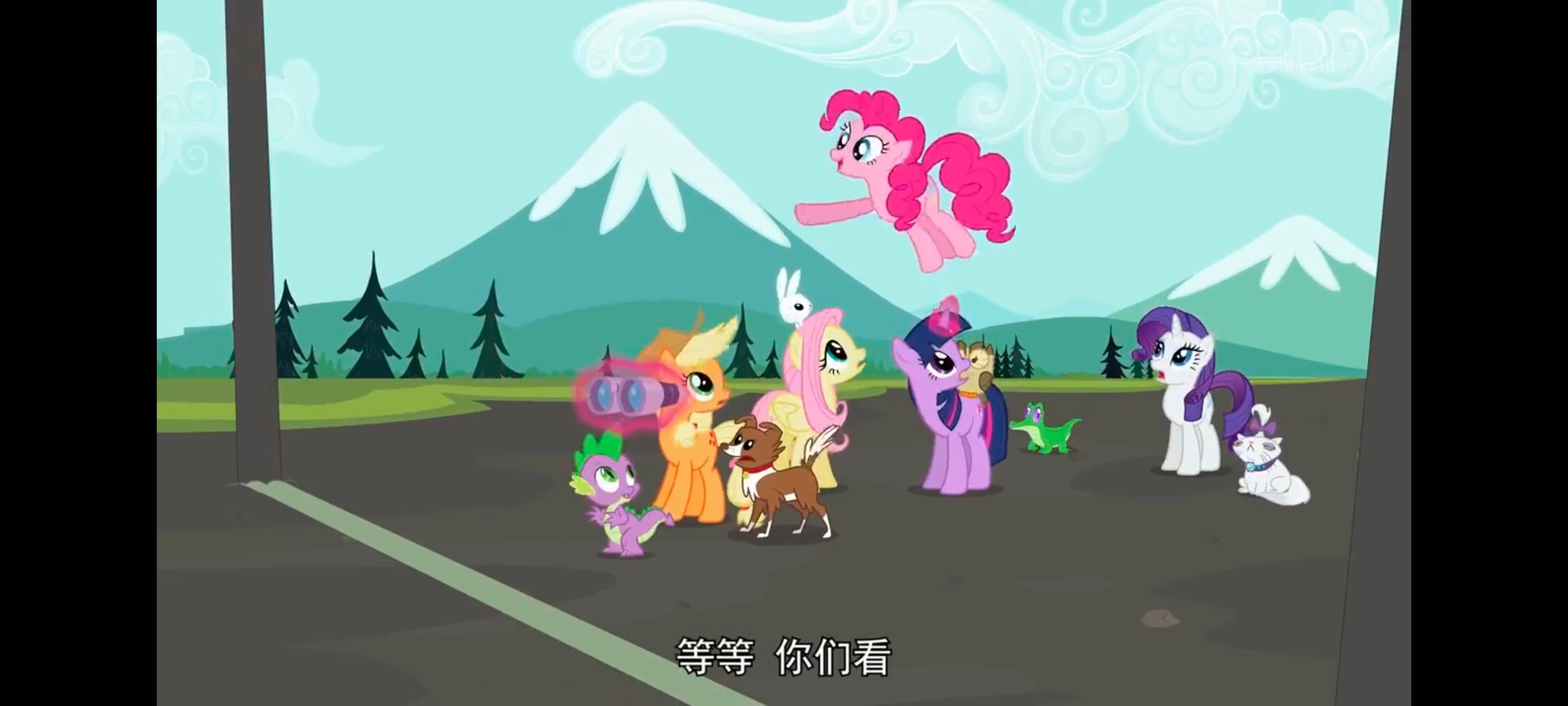 小马宝莉,彩虹小马,我的小马驹,动画,动漫,番剧,二次元,ACG