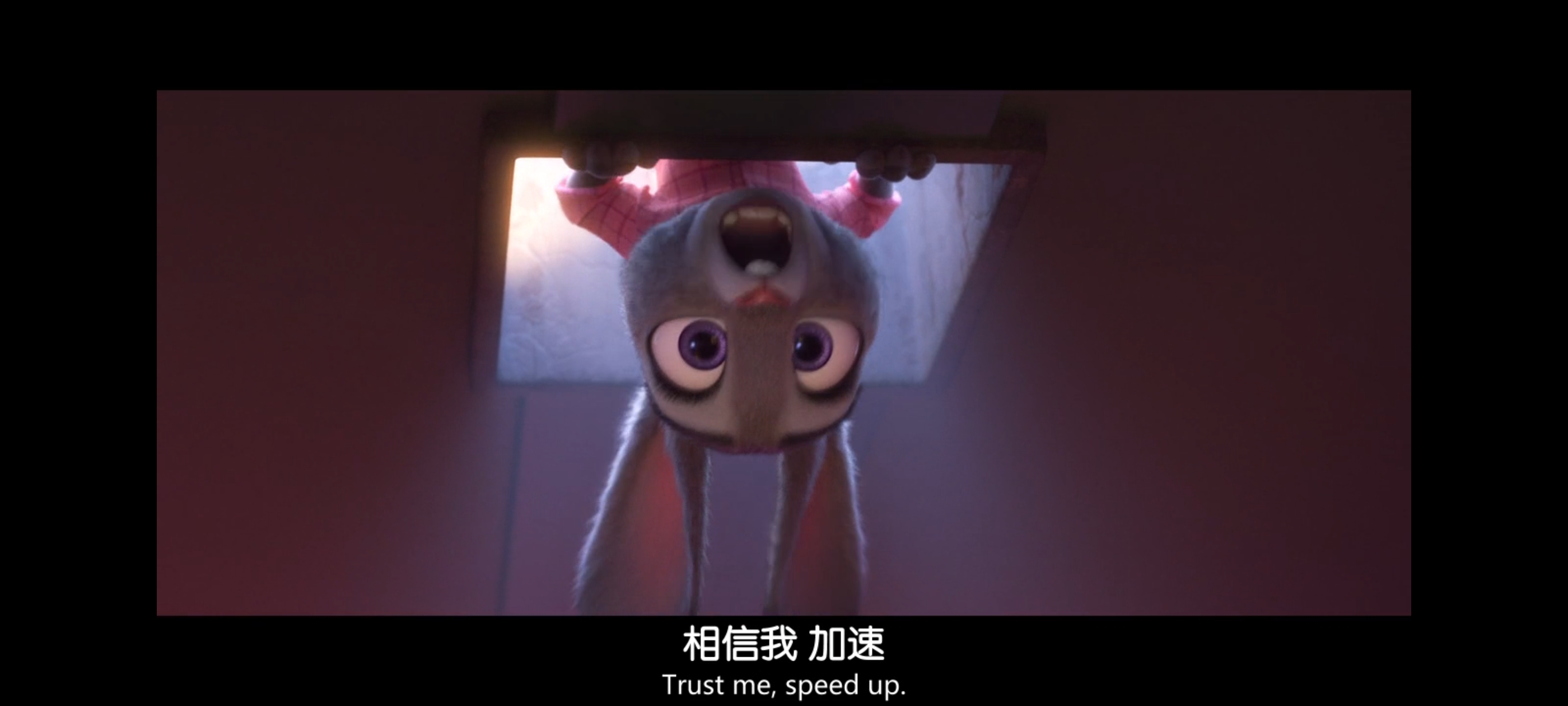 疯狂动物城,动画电影,动漫,动画,电影,二次元,ACG