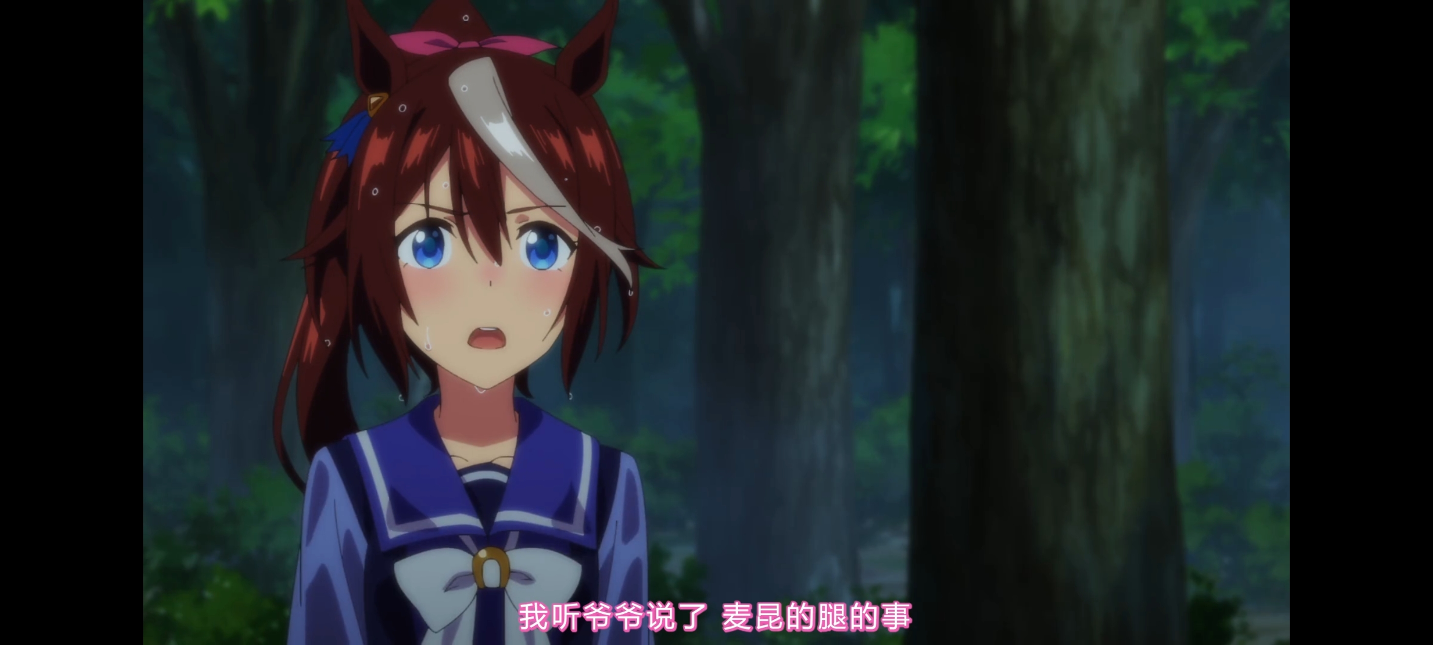 赛马娘,赛马娘第二季,赛马娘PrettyDerby,动画,动漫,番剧,二次元,ACG