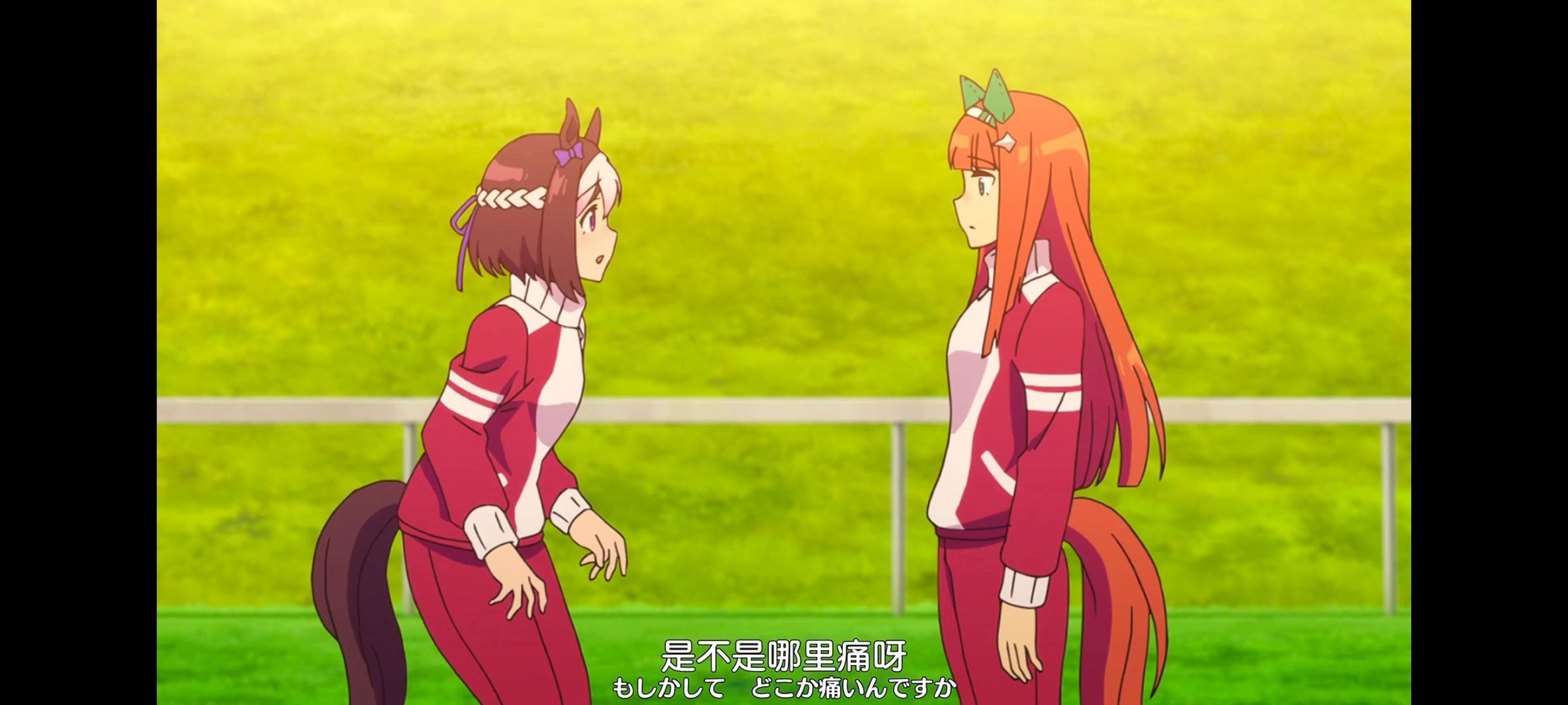 赛马娘,赛马娘PrettyDreby,动画,动漫,番剧,ACG