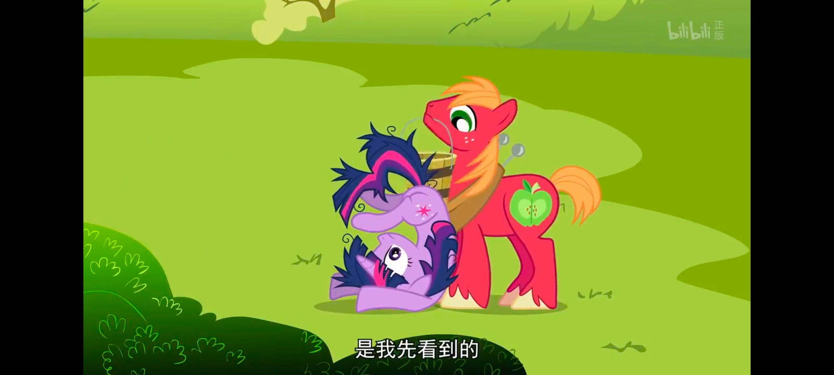 小马宝莉,小马宝莉友谊魔法,彩虹小马,我的小马驹,动画,动漫,番剧,ACG