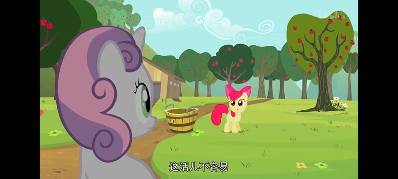 小马宝莉,小马宝莉友谊魔法,彩虹小马,我的小马驹,动画,动漫,番剧,ACG