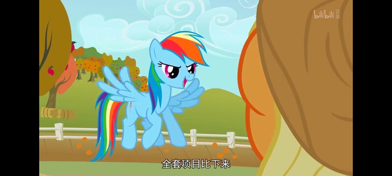 小马宝莉,小马宝莉友谊魔法,彩虹小马,我的小马驹,动画,动漫,番剧,ACG
