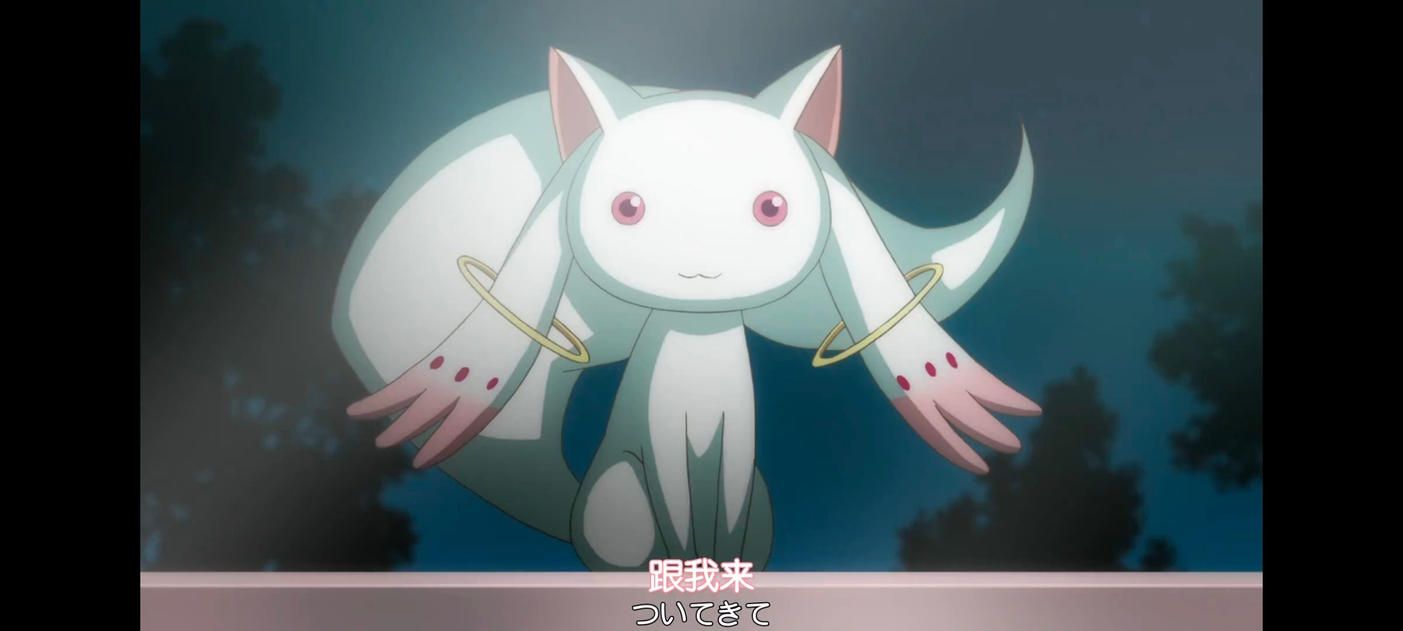 魔法少女小圆,魔法少女,动画,动漫,番剧,ACG