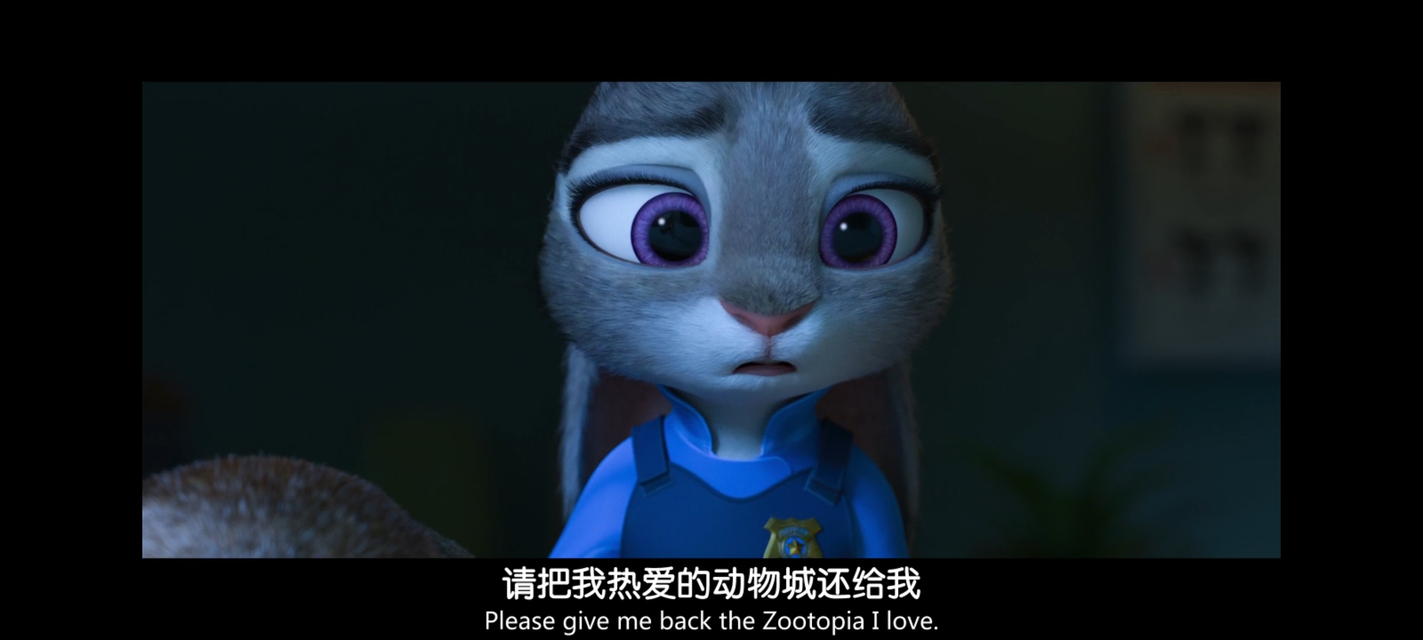 疯狂动物城,动画电影,动漫,动画,电影,二次元,ACG