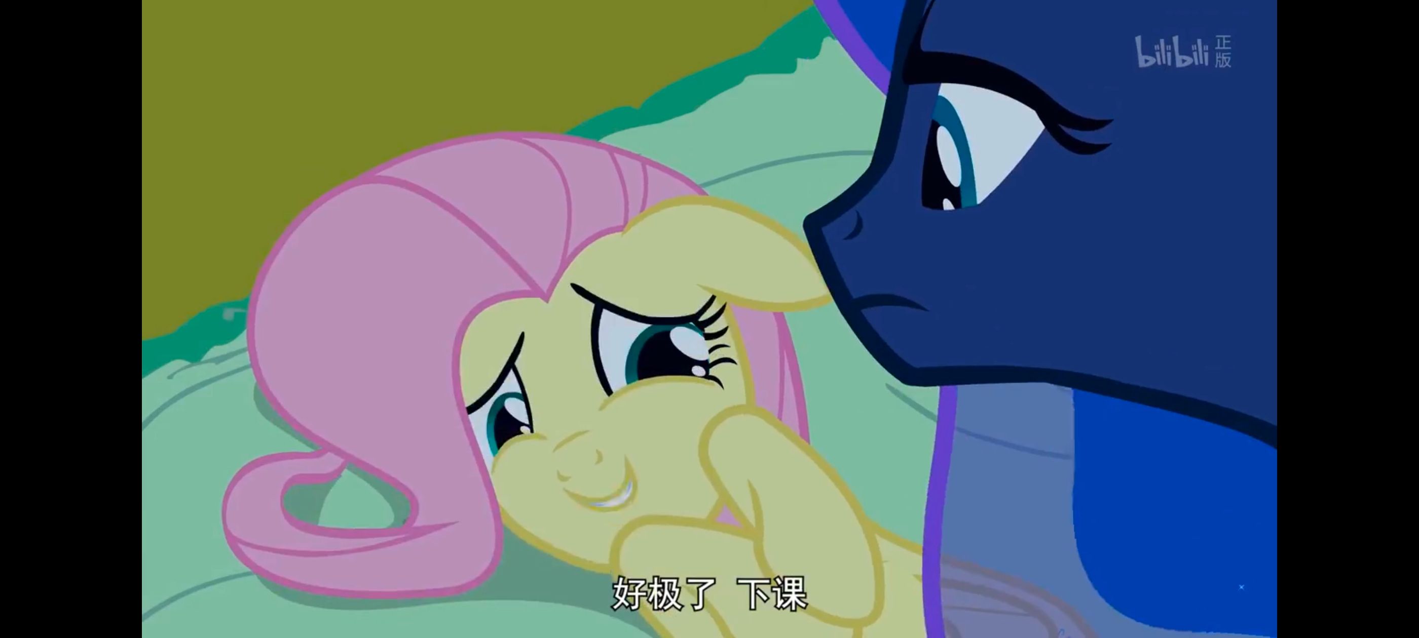 小马宝莉,小马宝莉友谊魔法,彩虹小马,我的小马驹,动漫,动画,番剧,ACG