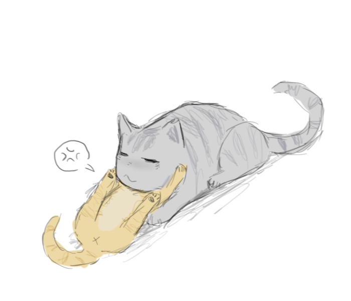 猫,打架,玩耍