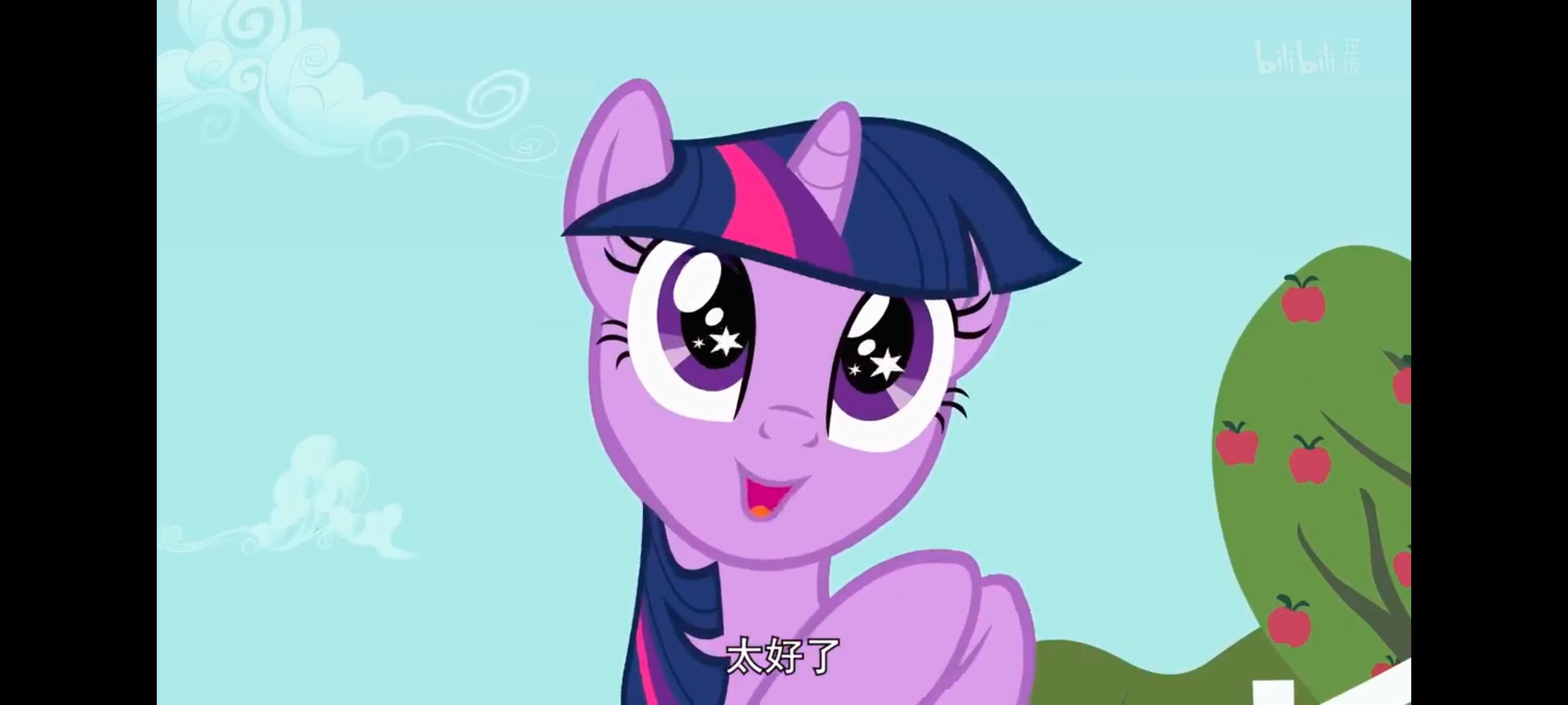 小马宝莉,小马宝莉友谊魔法,彩虹小马,我的小马驹,动画,动漫,番剧,ACG