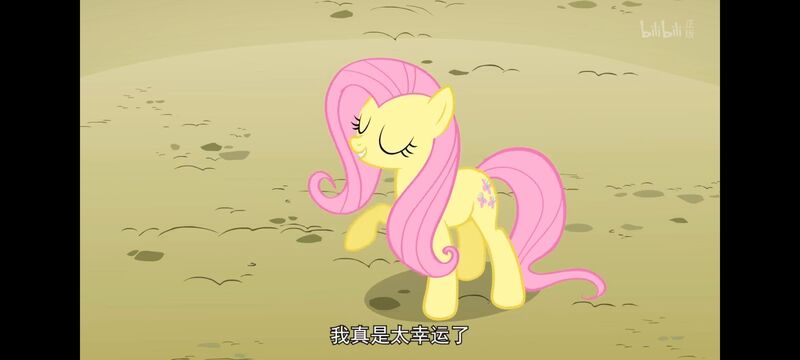 小马宝莉,小马宝莉友谊魔法,彩虹小马,我的小马驹,动画,动漫,番剧,ACG