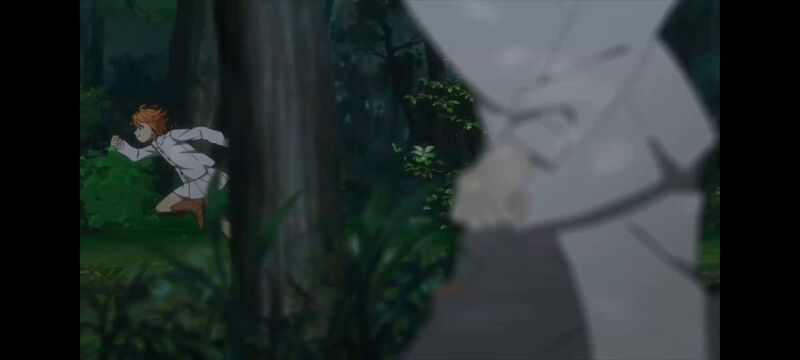 约定的梦幻岛,动画,动漫,番剧,ACG