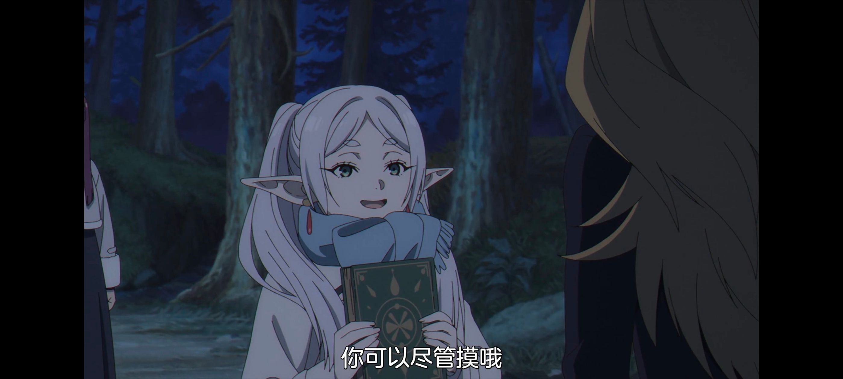 葬送的芙莉莲,动画,动漫,番剧,二次元,ACG