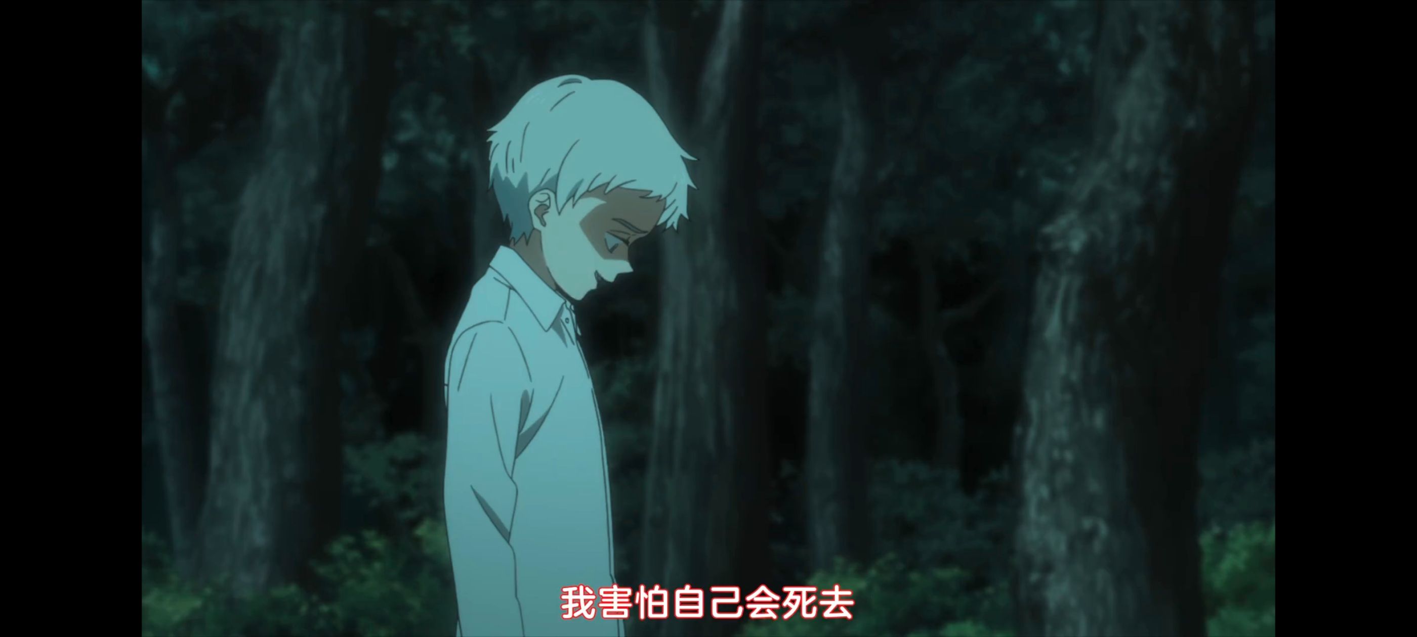 约定的梦幻岛,动画,动漫,番剧,ACG