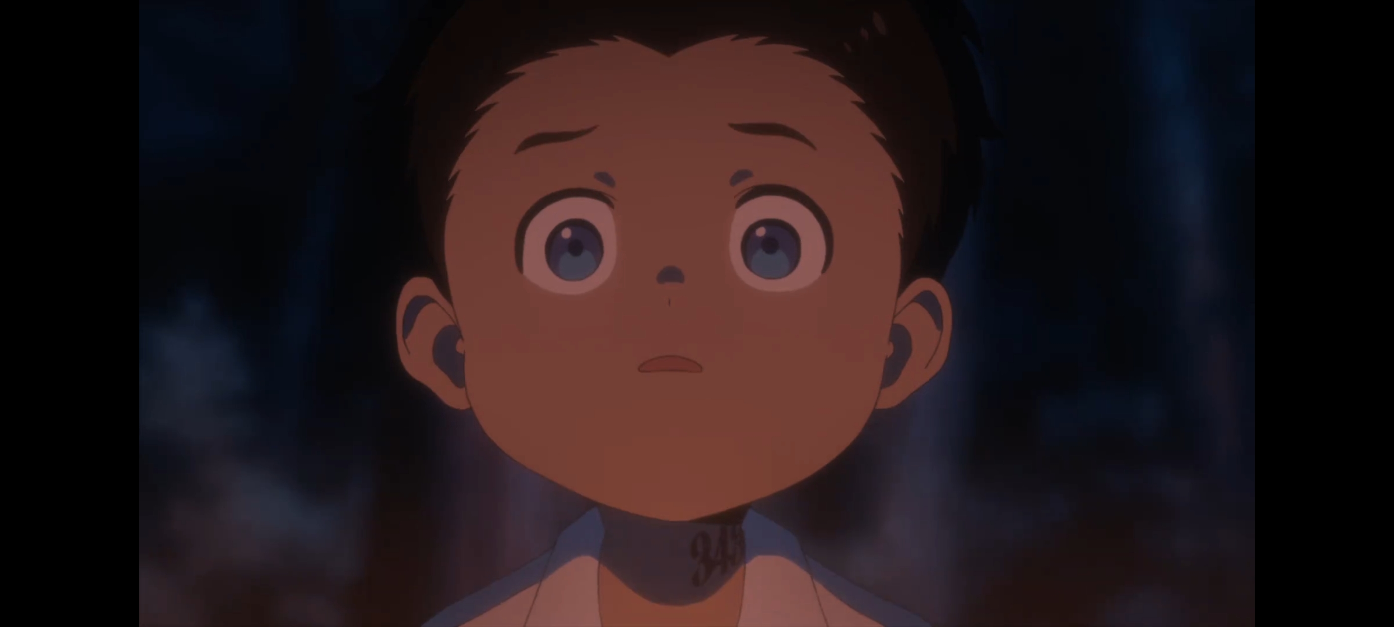 约定的梦幻岛,动画,动漫,番剧,二次元,ACG