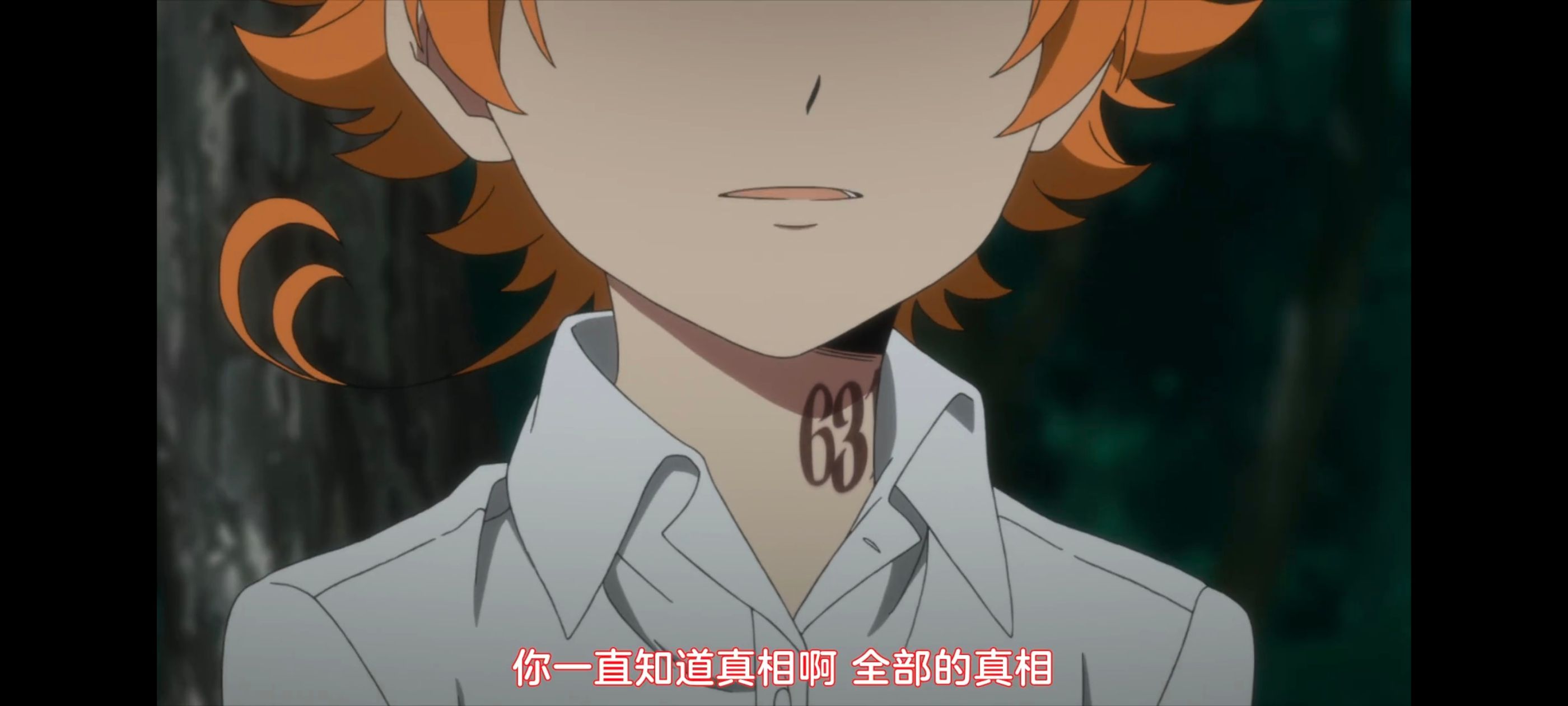 约定的梦幻岛,动画,动漫,番剧,ACG