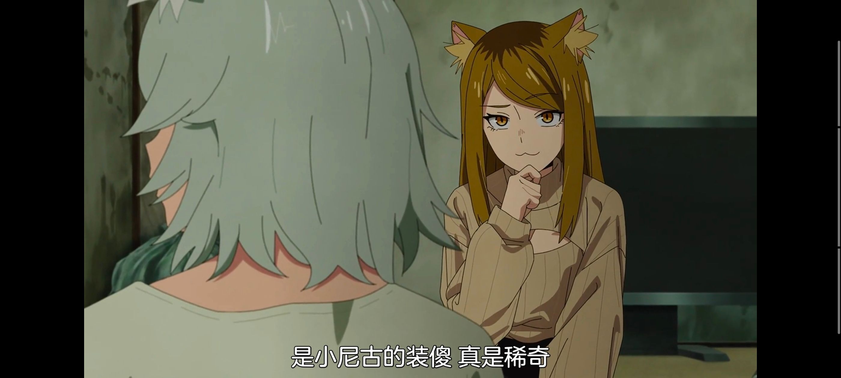 雅尼猫,尼古喵喵,动画,动漫,番剧,日漫,二次元,ACG
