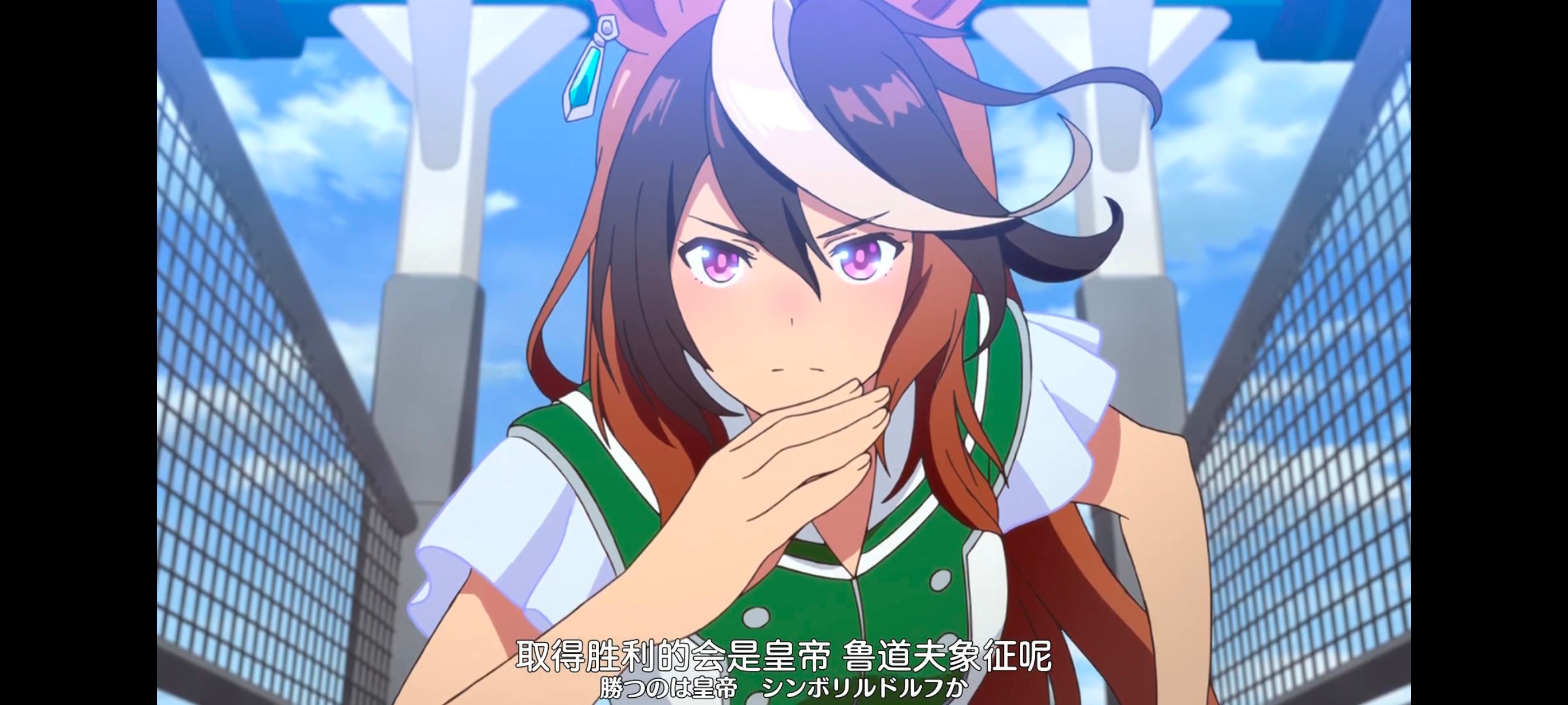 赛马娘,赛马娘PrettyDreby,动画,动漫,番剧,ACG