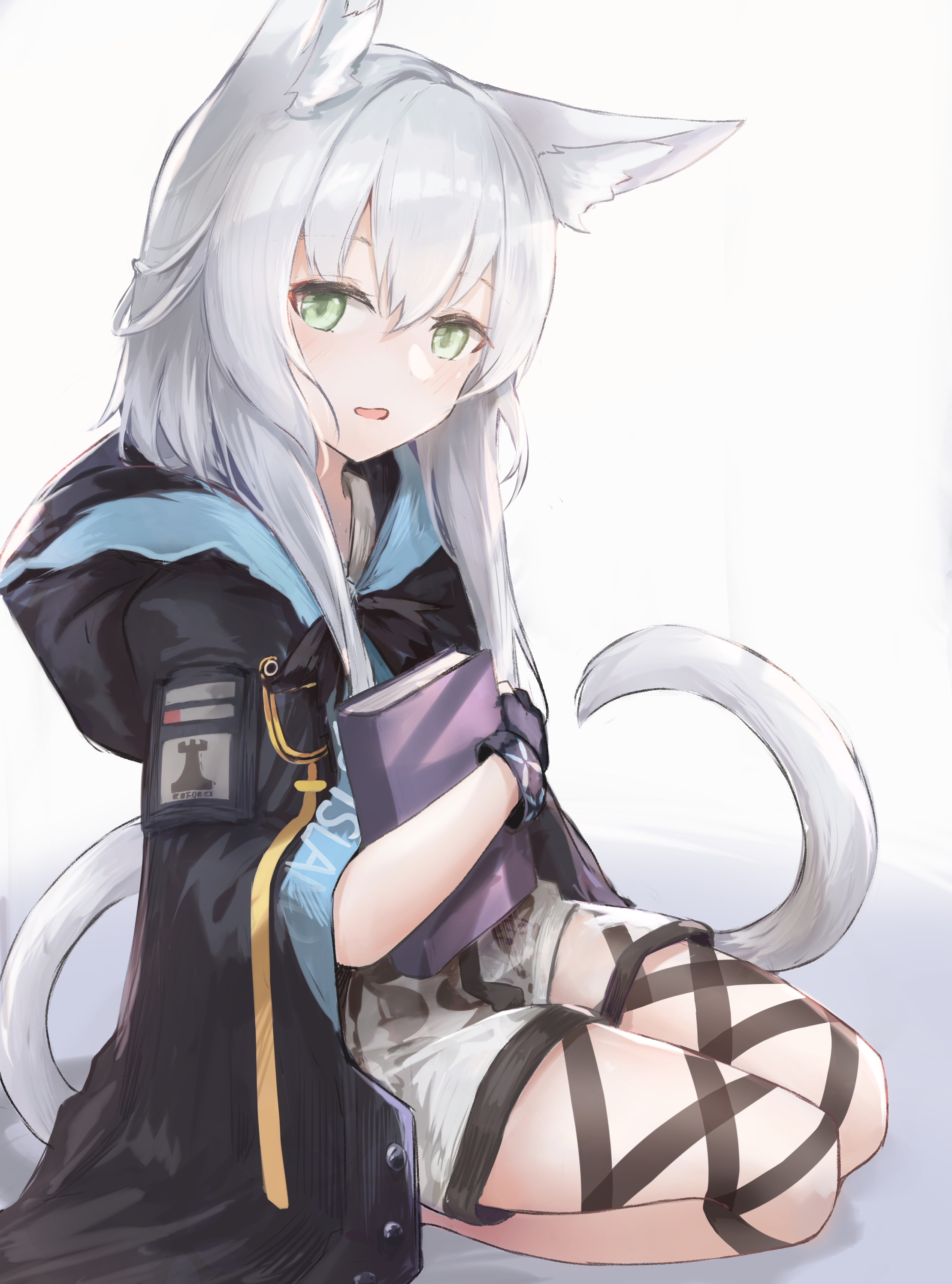 蔚蓝档案,明日方舟,明日方舟终末地,ACG,图集