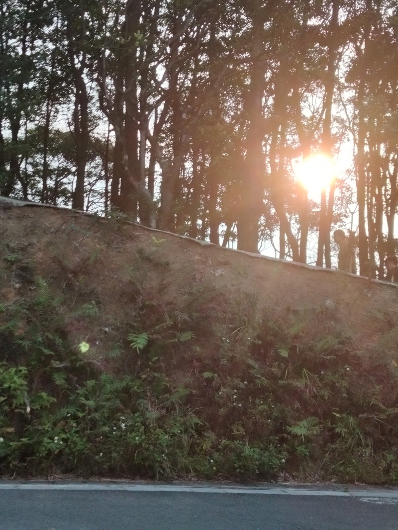 登山,记叙文,轻音少女