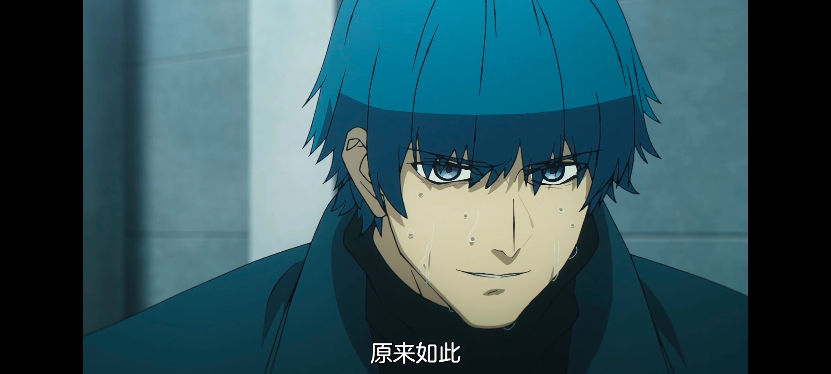 命运奇异赝品,FatestrangeFake,动画,动漫,番剧,ACG