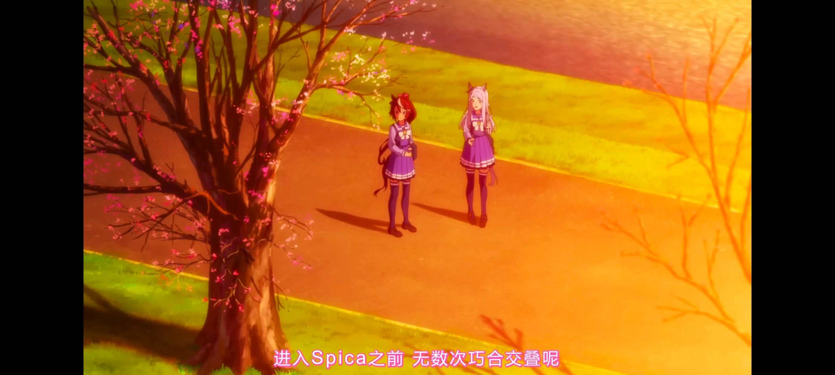 赛马娘,赛马娘PrettyDreby,赛马娘第二季,动画,动漫,番剧,ACG