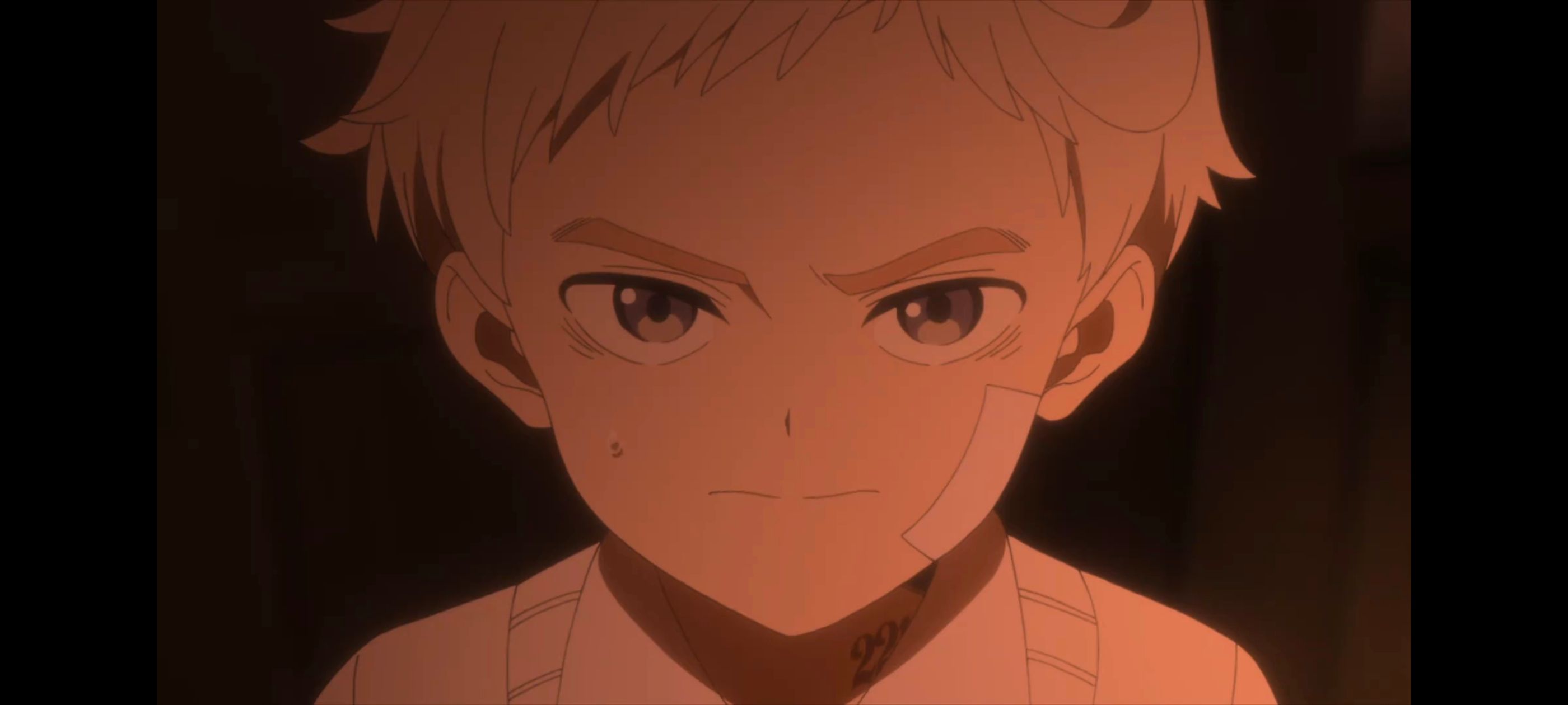 约定的梦幻岛,动画,动漫,番剧,二次元,ACG