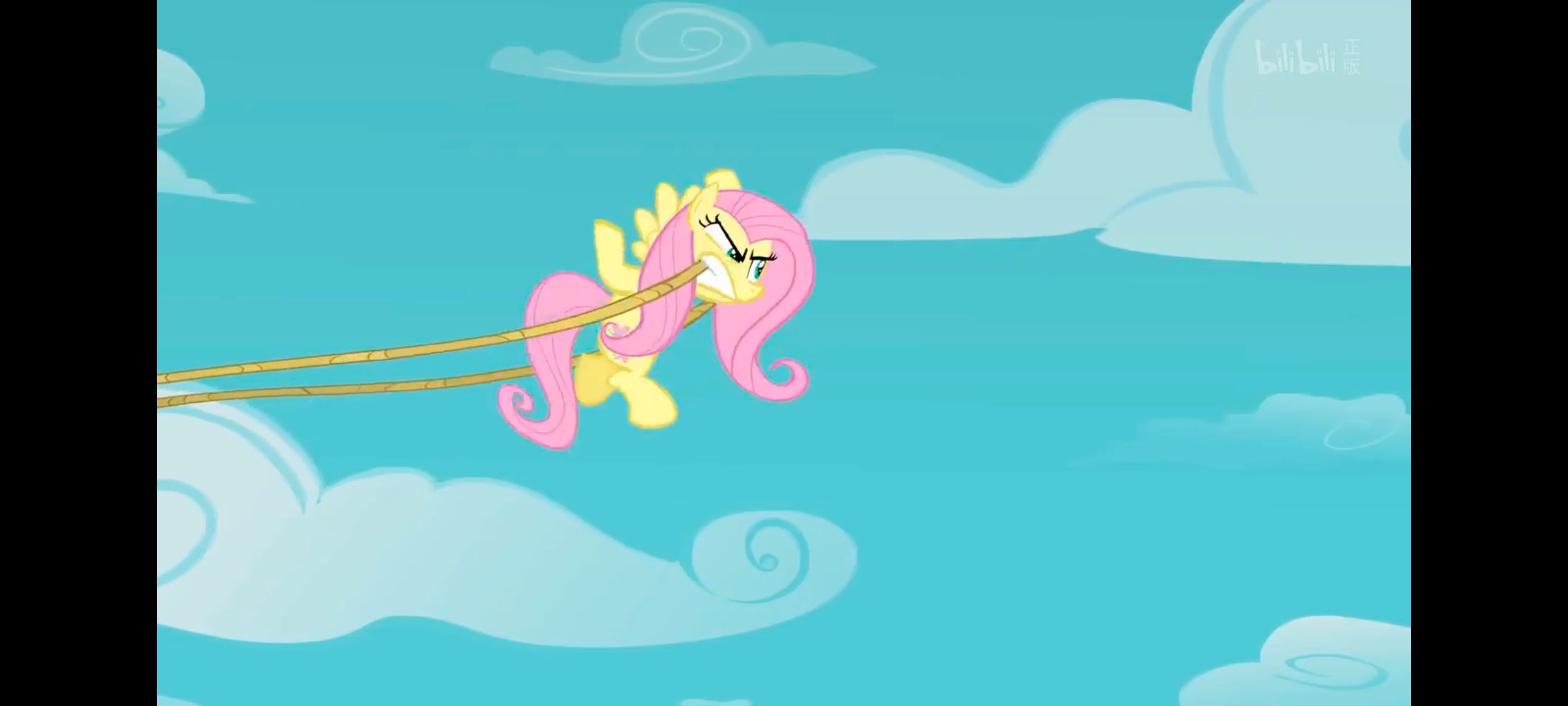 小马宝莉,彩虹小马,我的小马驹,小马宝莉友谊魔法,动漫,动画,番剧,ACG