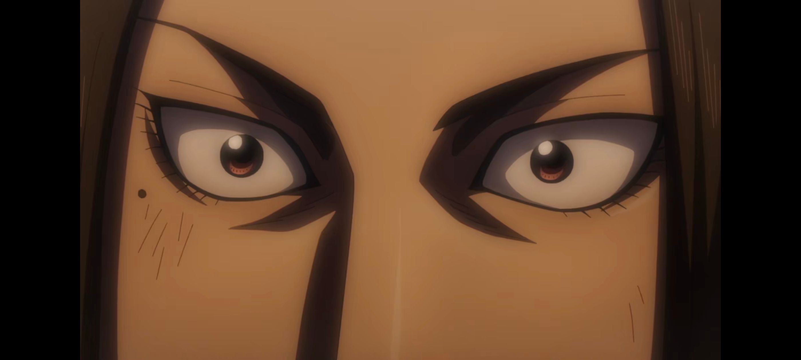 王者天下,动画,动漫,番剧,ACG