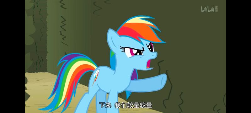 小马宝莉,小马宝莉友谊魔法,彩虹小马,我的小马驹,动画,动漫,番剧,ACG