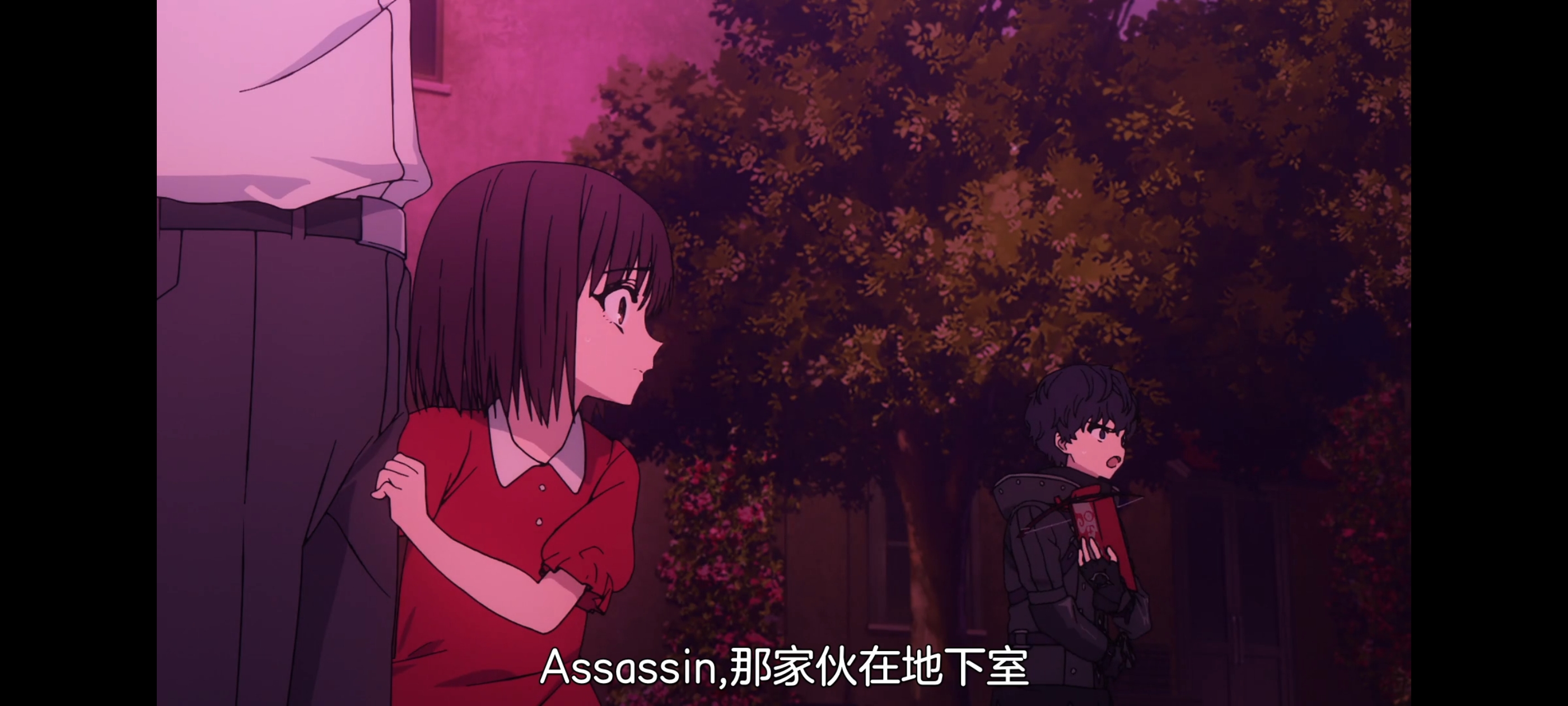 FATE,命运奇异赝品,FatestrangeFake,动画,动漫,番剧,二次元,ACG